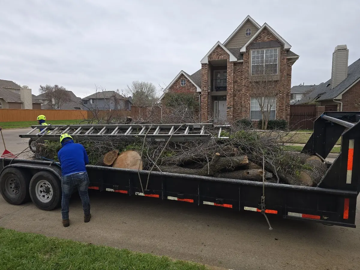 Expert Tree Pest Control with proper safety equipment in Tippecanoe